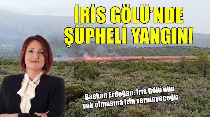 Başkan Erdoğan'dan şüpheli yangın açıklaması