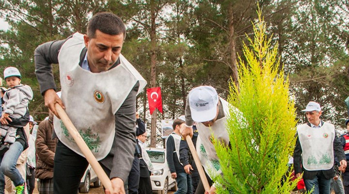 Başkan Günel'den Akbelen Ormanı savunucularına destek