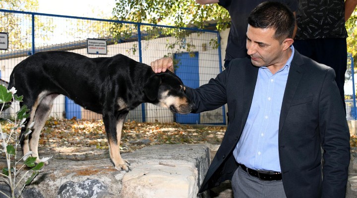 Başkan Günel'den net mesaj: Can dostlarımızı yaşatacağız!