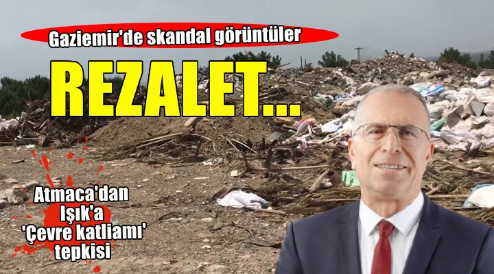 Başkan Işık'a çevre katliamı tepkisi... 'Cesaretiniz varsa gelin'