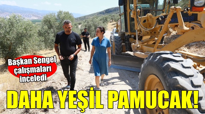 Başkan Sengel çalışmaları inceledi... Pamucak'a daha çok ağaç, üreticilere yol!