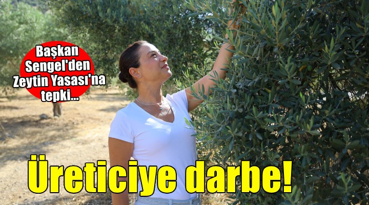 Başkan Sengel'den Zeytin Yasası'na tepki...