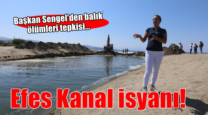 Başkan Sengel'den Efes Kanal Projesi ve balık ölümleri tepkisi