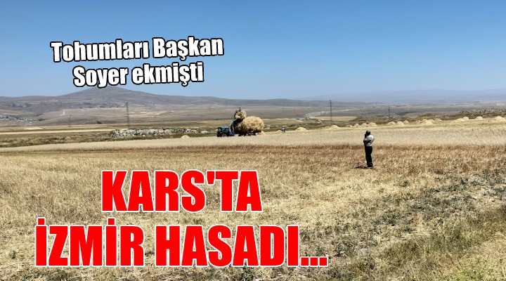 Başkan Soyer'in Kars'ta ektiği tohumlar hasat ediliyor!