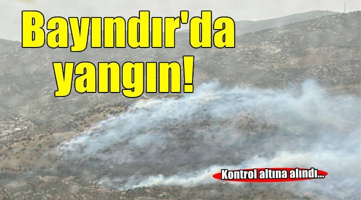 Bayındır’da zeytinlik alanda yangın!
