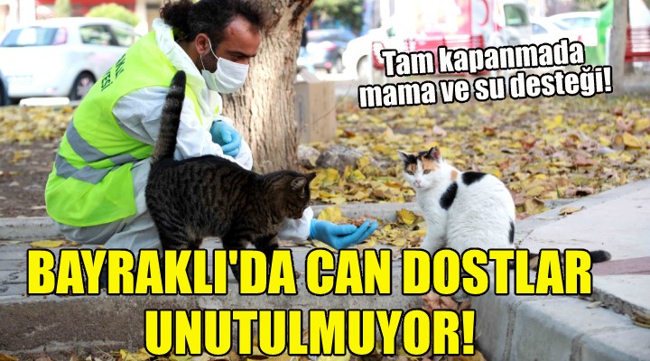 Bayraklı'da can dostlar unutulmuyor!