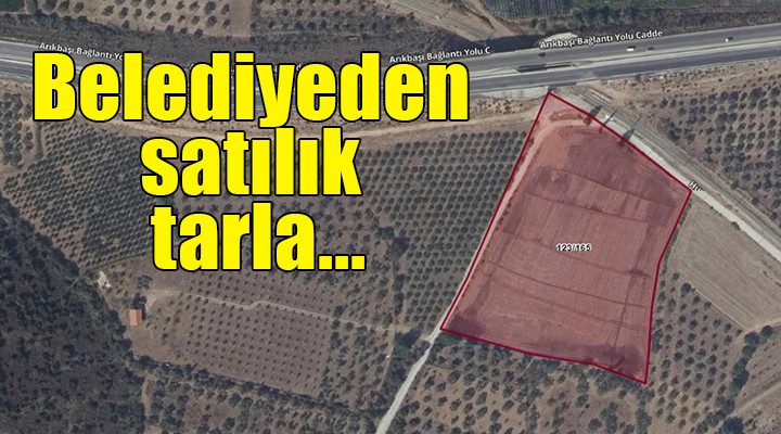 Belediyeden satılık tarla!