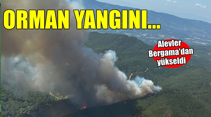 Bergama'da orman yangını...