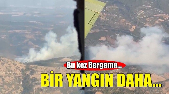 Bergama'da orman yangını!