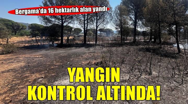 Bergama'daki orman yangını kontrol altına alındı