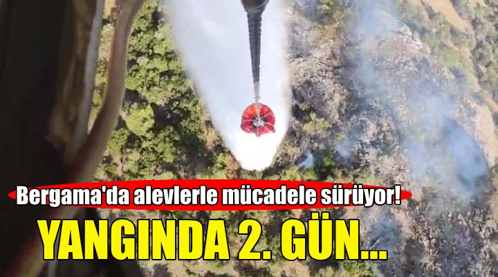 Bergama'daki yangın ikinci gününde!