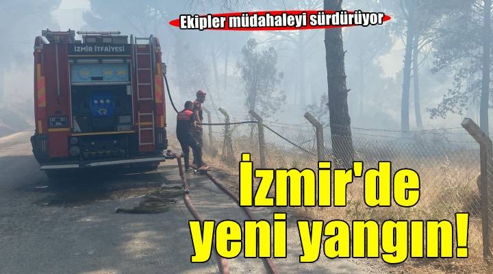 Bergama’da orman yangınına müdahale ediliyor