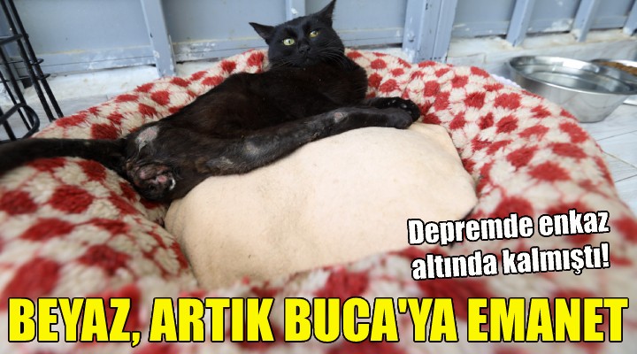 Beyaz, artık Buca Belediyesi'ne emanet!