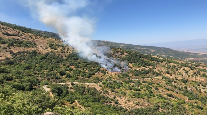 Beydağ'da çıkan yangın kontrol altına alındı