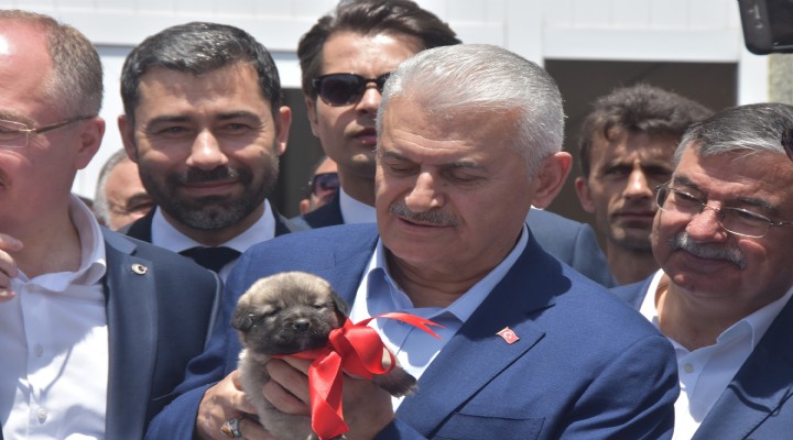 Binali Yıldırım'dan 