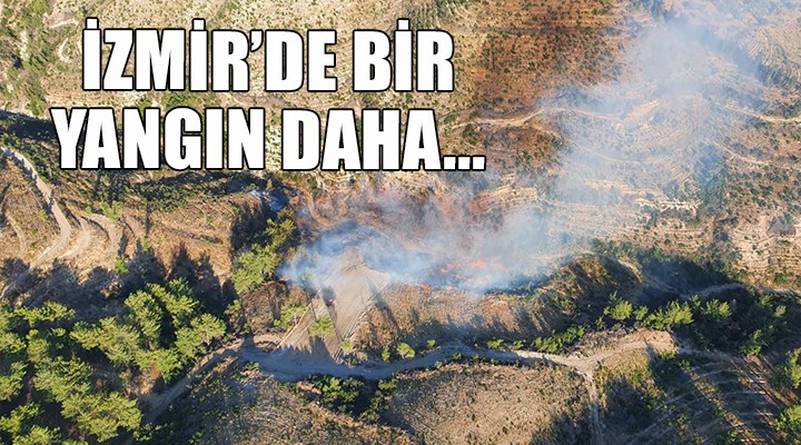 İzmir'de bir yangın daha