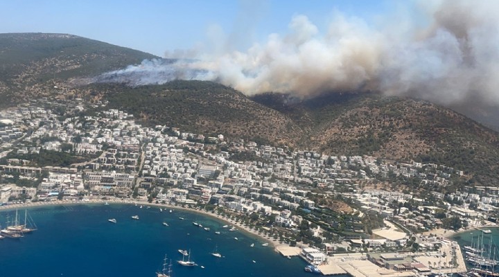 Bodrum'da yeni yangın!