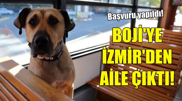 Boji'ye İzmir'den aile çıktı!