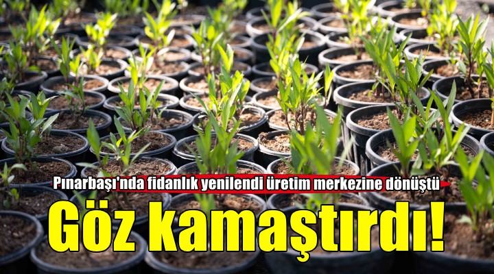 Bornova Belediyesi fidanlığı yeni görünümüyle göz kamaştırıyor