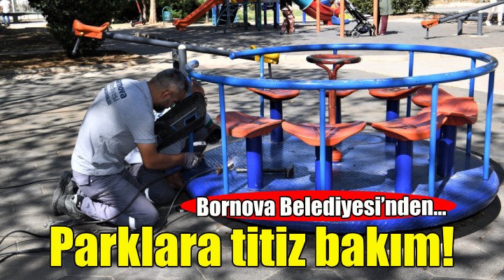 Bornova Belediyesi'nden parklara titiz bakım!