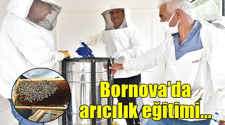 Bornova Belediyesi'nden uygulamalı arıcılık eğitimi