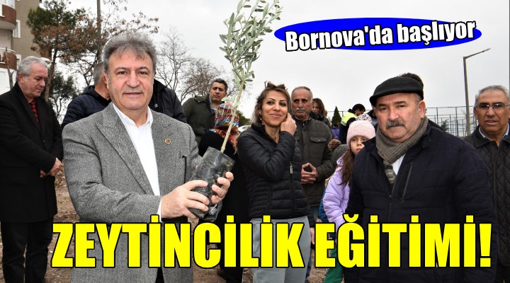 Bornova Belediyesi’nden zeytincilik eğitimi...