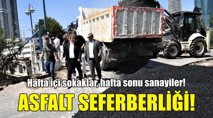 Bornova'da asfalt seferberliği!