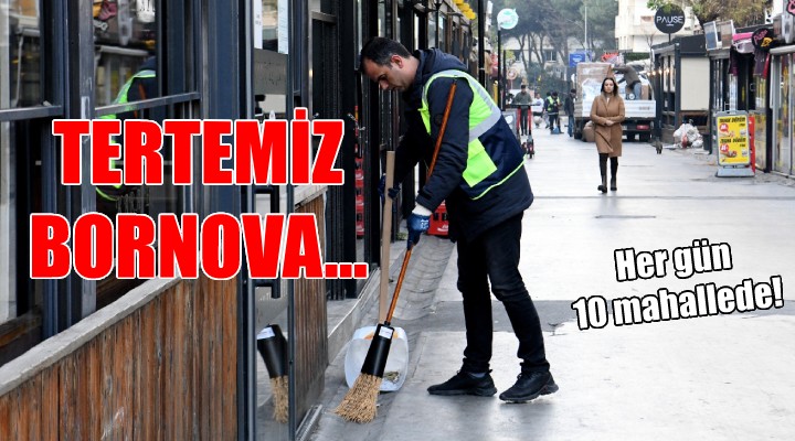 Bornova'da detaylı temizlik...