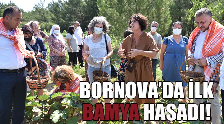 Bornova'da ilk bamya hasadı Soyer'den...