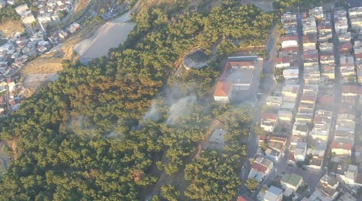 Bornova'da korkutan orman yangını