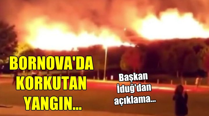 Bornova'da korkutan yangın...