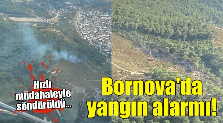 Bornova'da orman yangını alarmı!