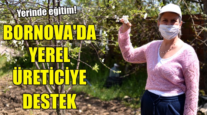 Bornova'da yerel üreticiye destek!