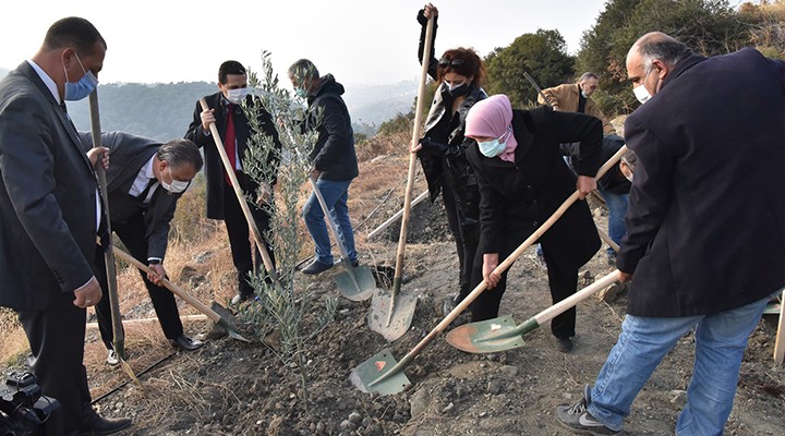 Bornova'da yeşil seferberlik