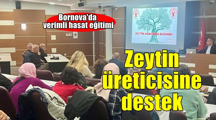 Bornova'da zeytin üreticilerine destek