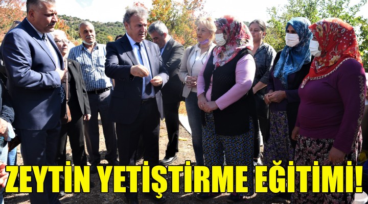 Bornova'da zeytin yetiştirme eğitimi!