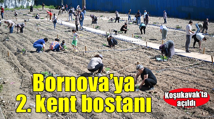 Bornova'nın ikinci kent bostanı Koşukavak'ta açıldı