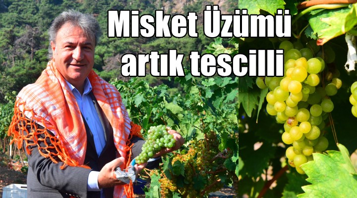 Bornova Misket Üzümü artık tescilli