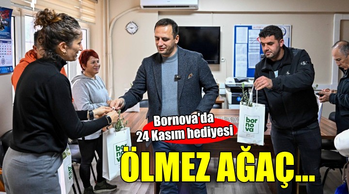 Bornova'da 24 Kasım hediyesi: Ölmez ağaç