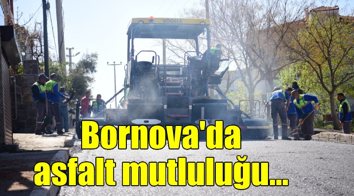 Bornova'da asfalt memnuniyeti...