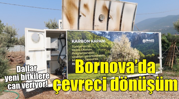 Bornova'da çevreci dönüşüm!