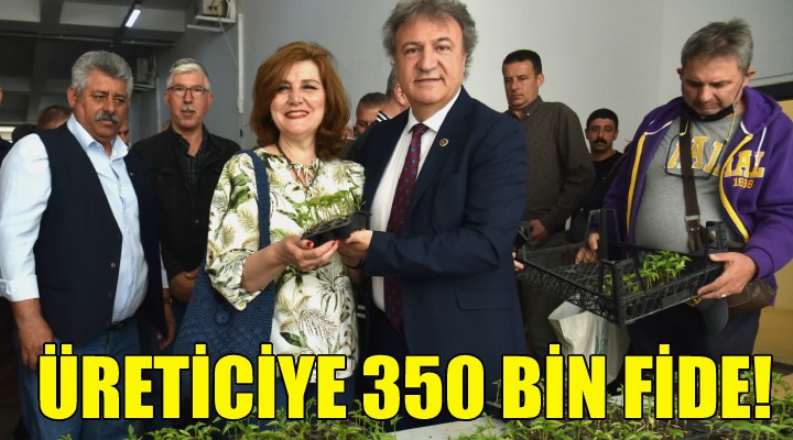 Bornova'da üreticiye 350 bin fide!