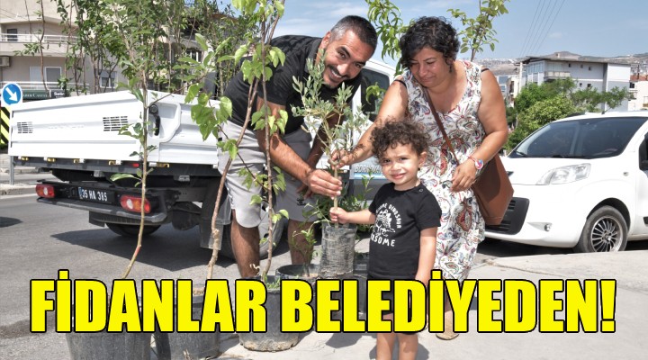 Bornovalılara ücretsiz meyve fidanı!