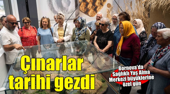 Bornova'nın çınarları 8 bin 500 yıllık izleri takip etti