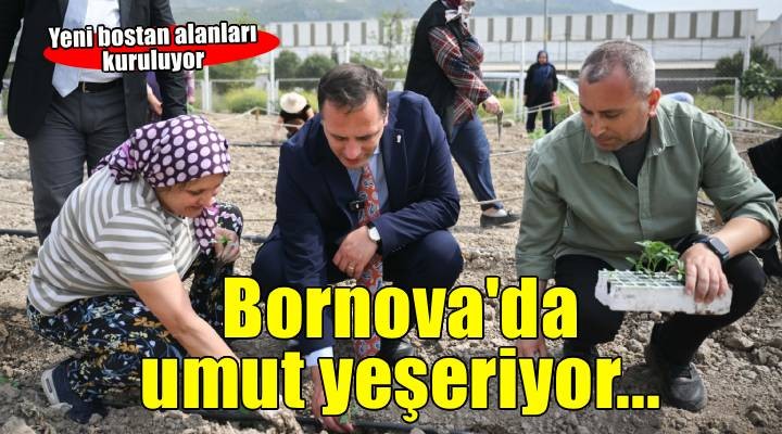 Bornova'nın kalbinde yeşeren umut