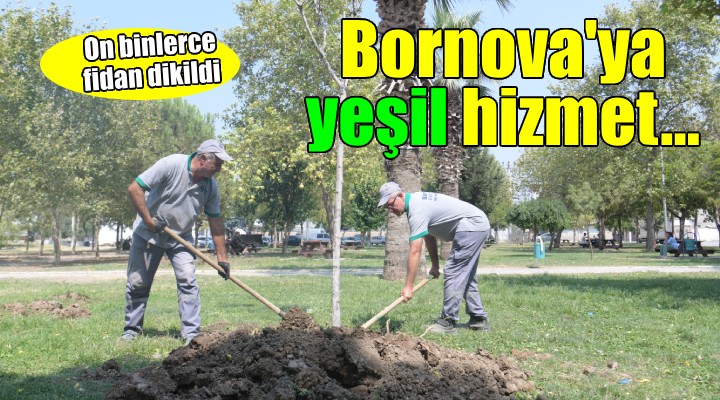 Bornova'ya yeşil hizmet