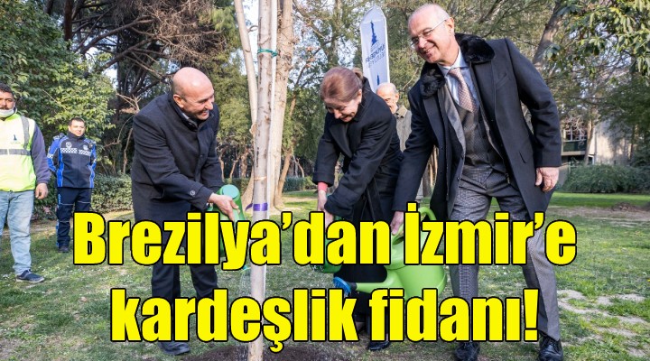 Brezilya'dan İzmir'e kardeşlik fidanı!