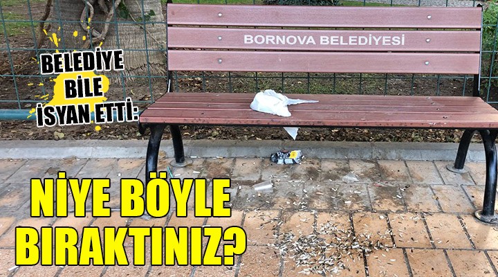 Bu görüntülere belediye bile isyan etti: Neden böyle bıraktınız!