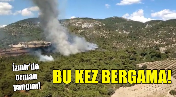 Bu kez Bergama... İzmir'de orman yangını!