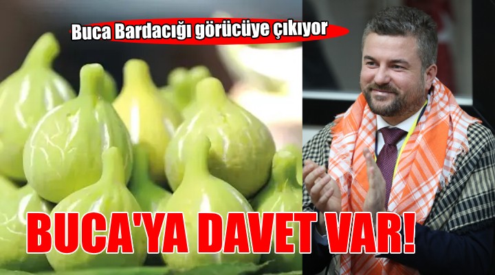 Buca Bardacığı görücüye çıkıyor...